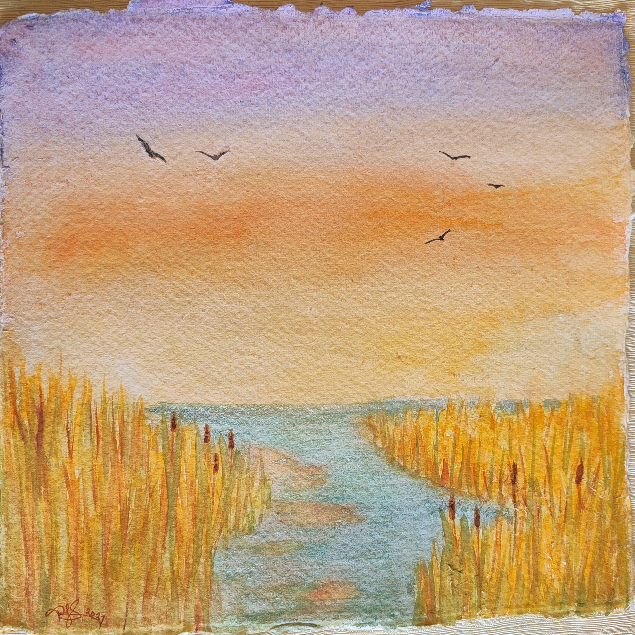 Salt Marsh By Paula Swenson